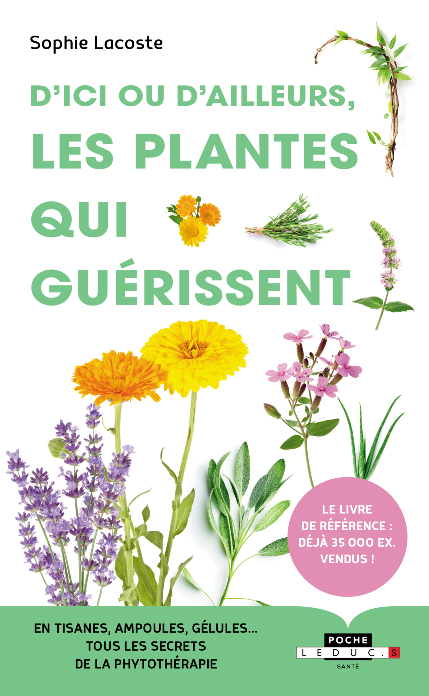 Ma bible des plantes qui soignent - édition de luxe: Le guide de référence  de la phytothérapie